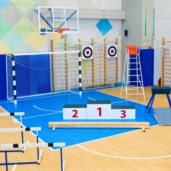 Щит для метания навесной на шведскую стенку (фанера) 700х700 ZAVODSPORTA за 8&nbsp;960 ₽ в Костроме