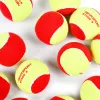 Мяч теннисный детский NS Red, 5021009, уп.12 шт, резина, шерть, нейлон, желто-красный за 2&nbsp;941 ₽ купить в Костроме